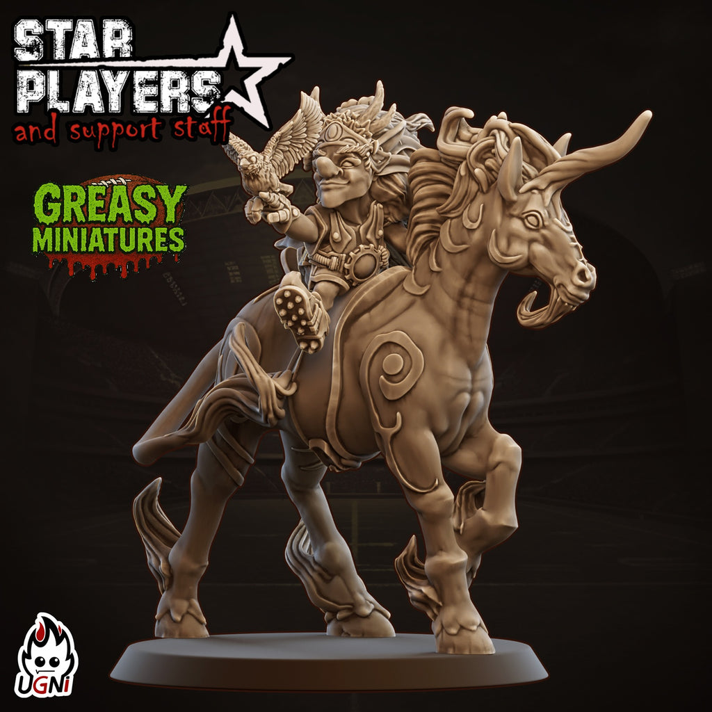Dowana Timberfoot - Gnome - Famous Player - By Ugni Miniatures