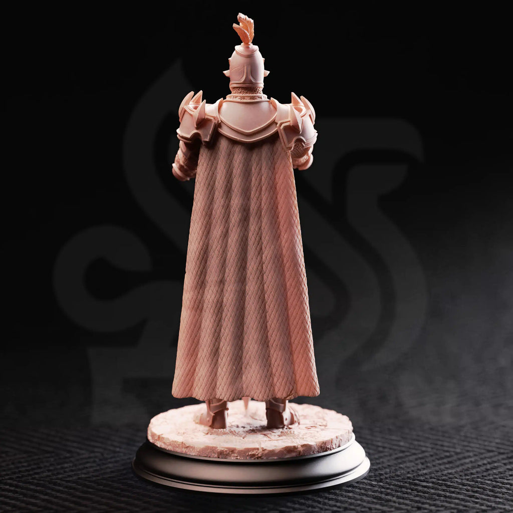 Arcane Armour of the Bastion - 3 Options - Medium Tabletop Miniature by DM Stash