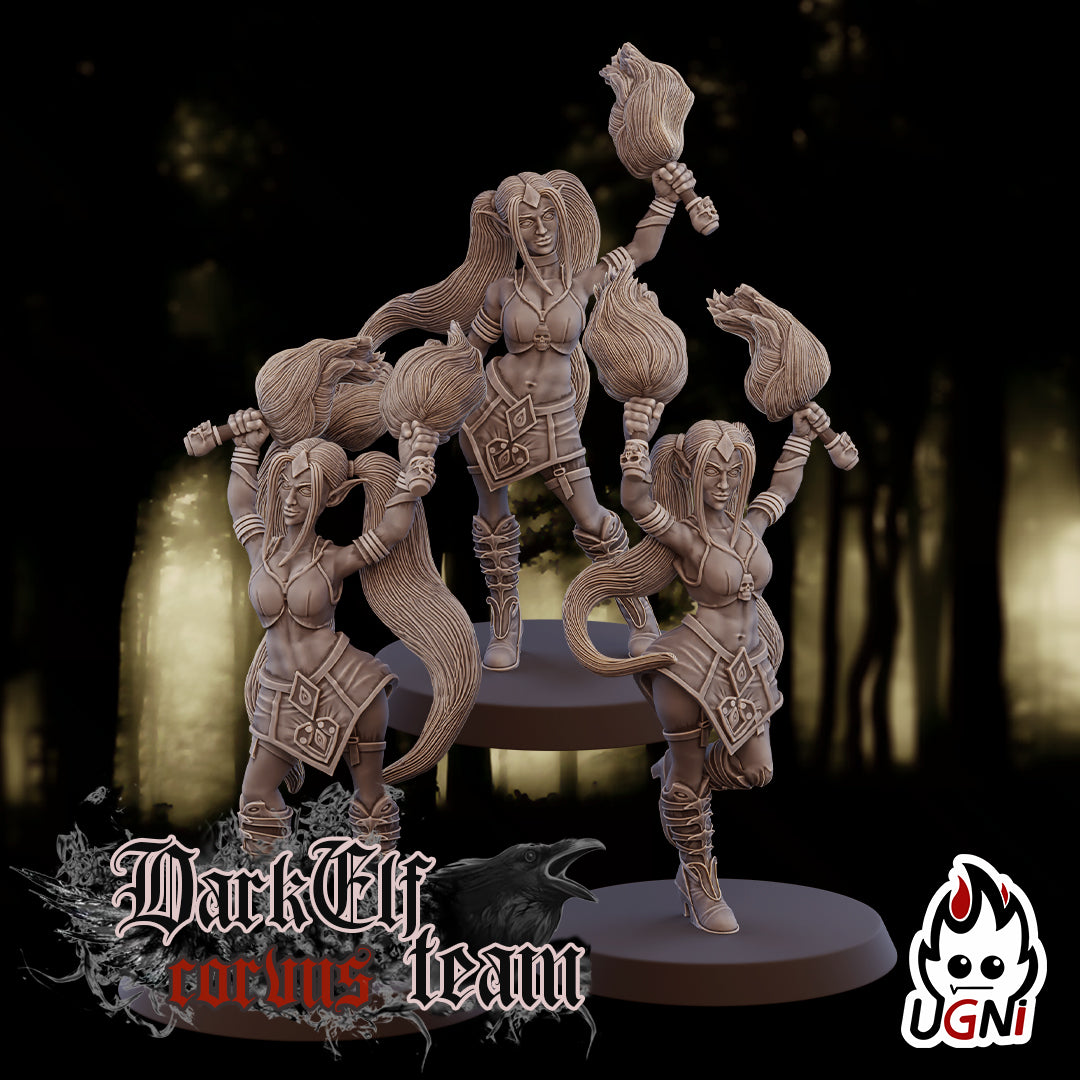 Corvus Team - Dark Elf - Fantasy Football - Ugni Miniatures