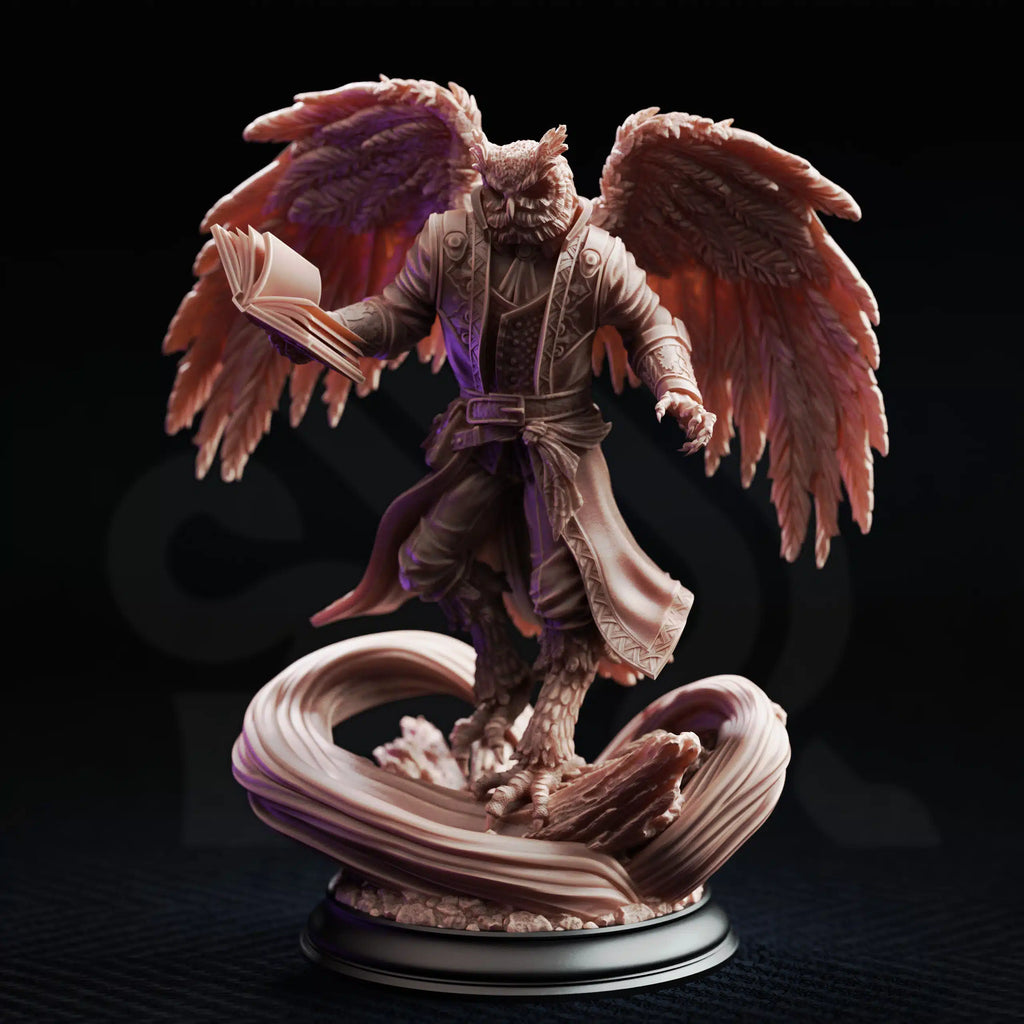 Hoover Brightfeather – Student of Evocation - Medium Tabletop Miniature By DM Stash
