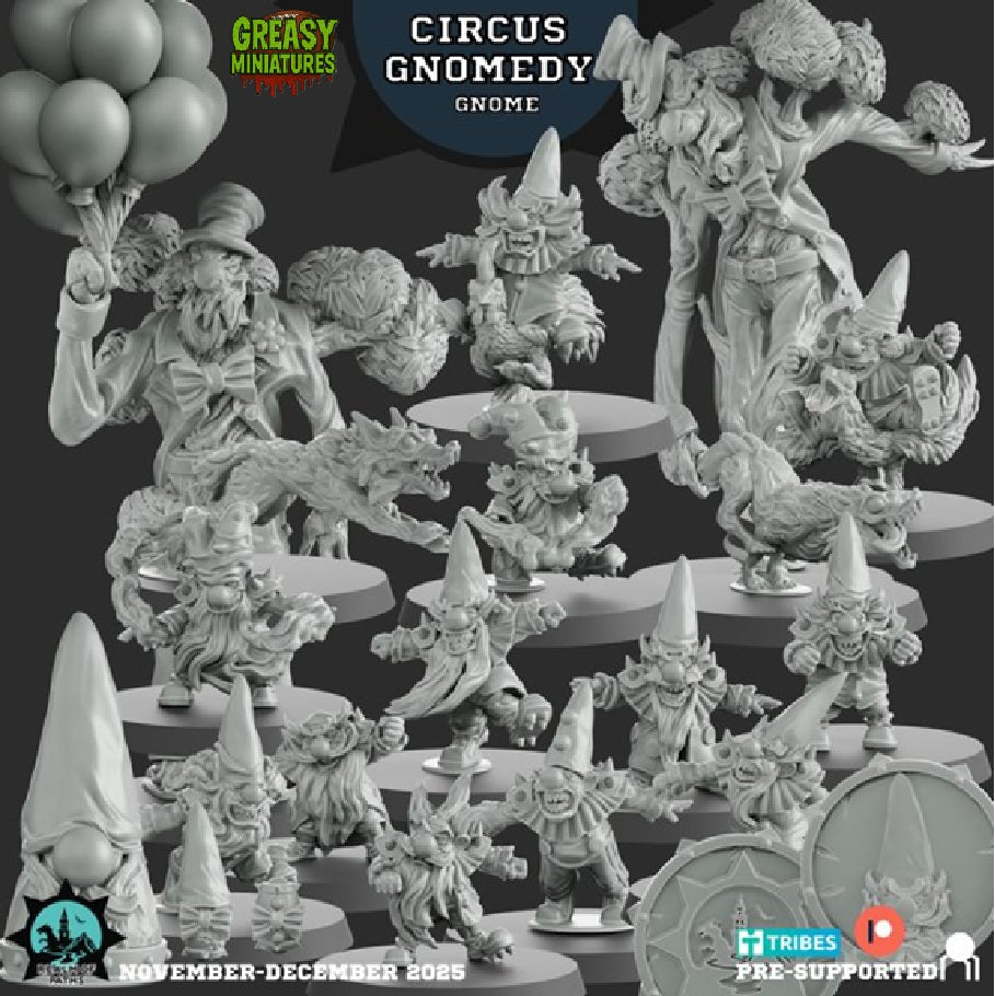 Circus Gnomedy - Gnome Fantasy Football Team - By Realm Of Paths