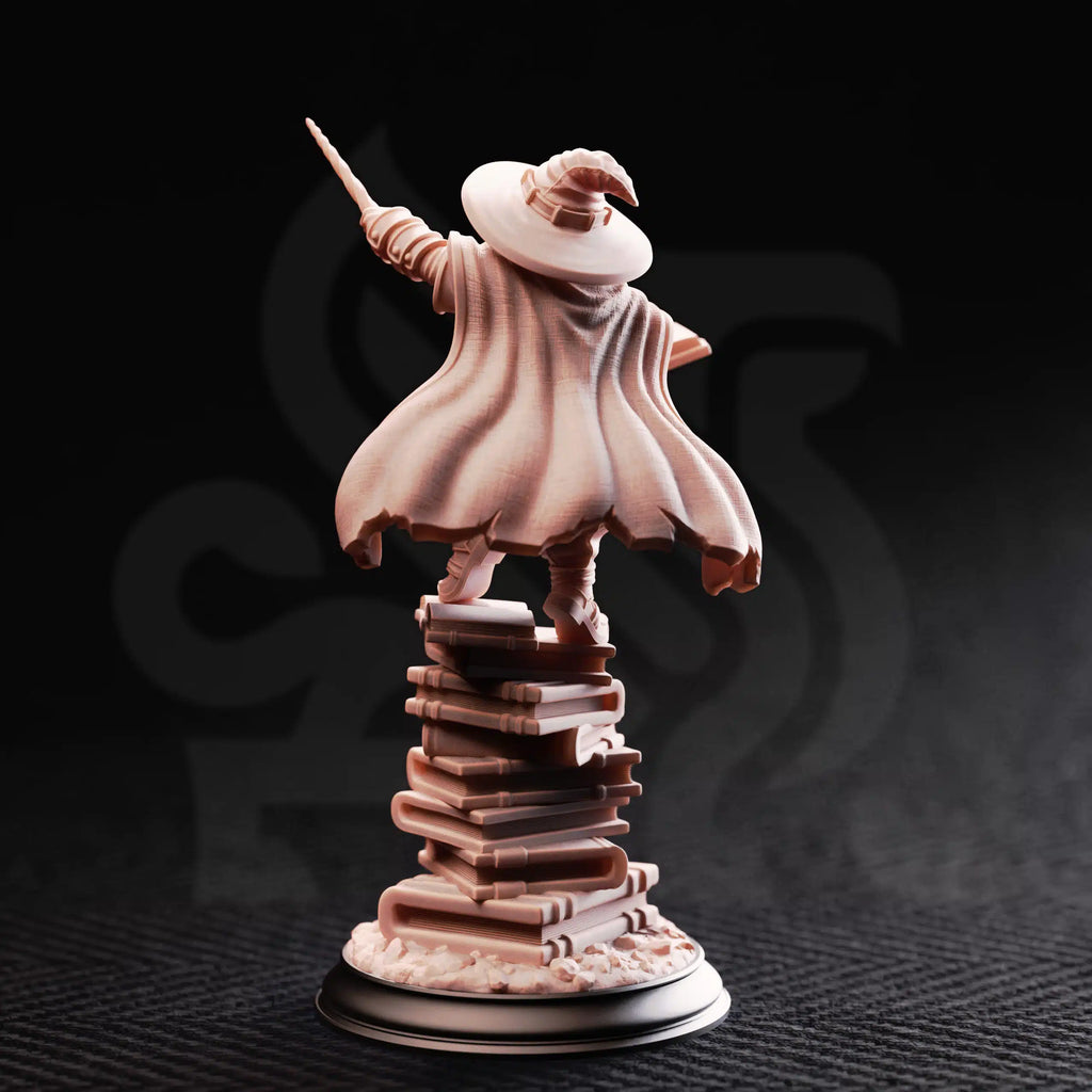 Pepitos the Manic – Professor of the Arcane - Medium Tabletop Miniature By DM Stash