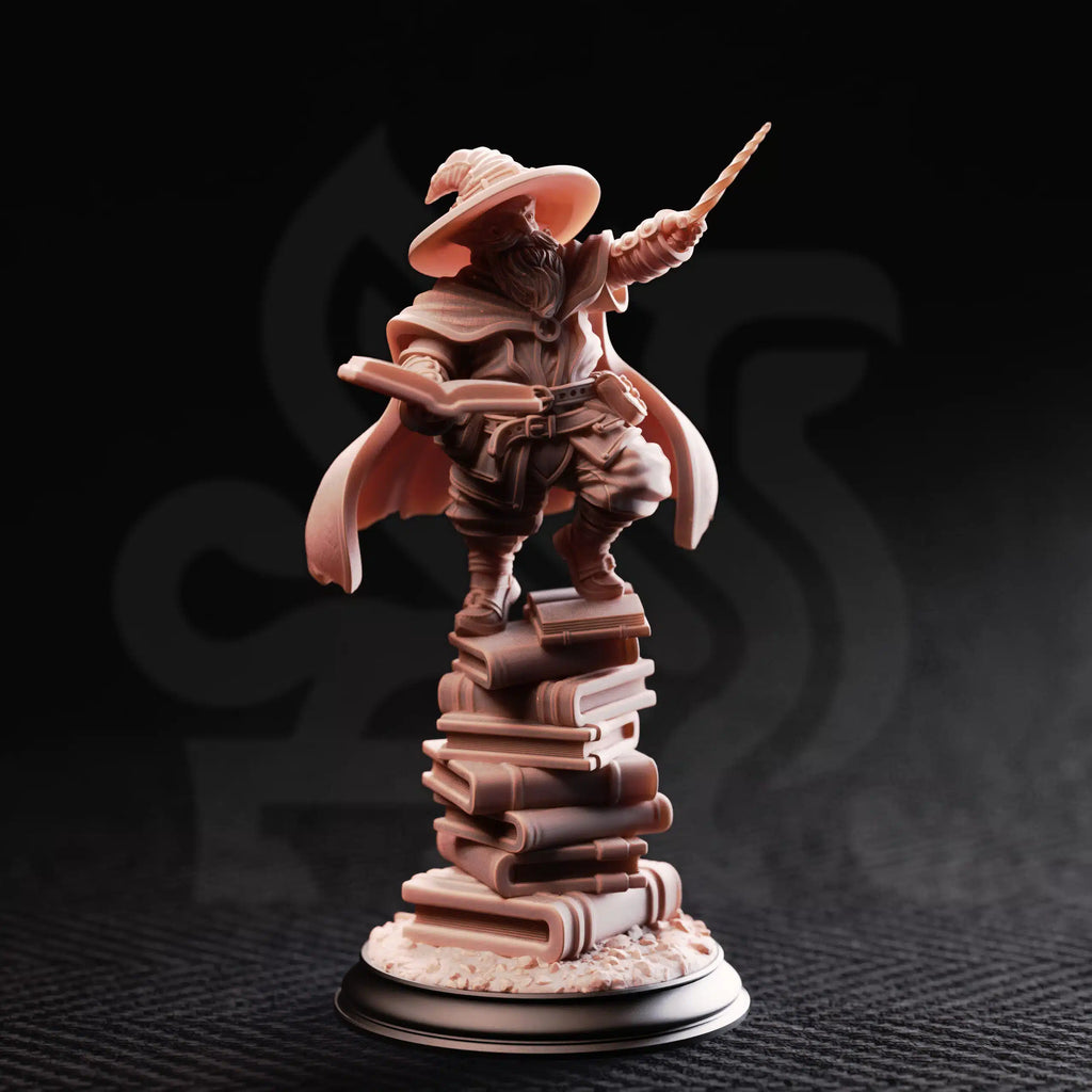 Pepitos the Manic – Professor of the Arcane - Medium Tabletop Miniature By DM Stash