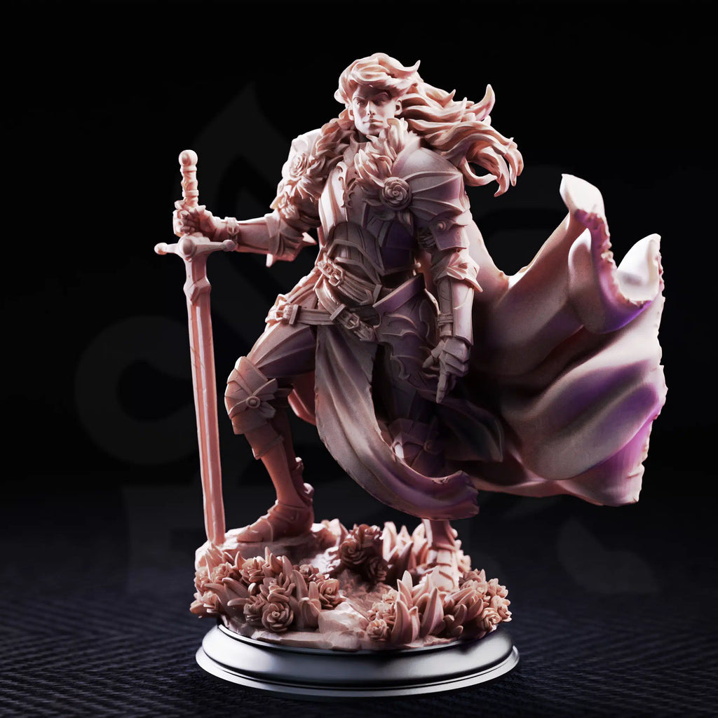 Prince Charming – Noble Knight - Medium Tabletop Miniature By DM Stash