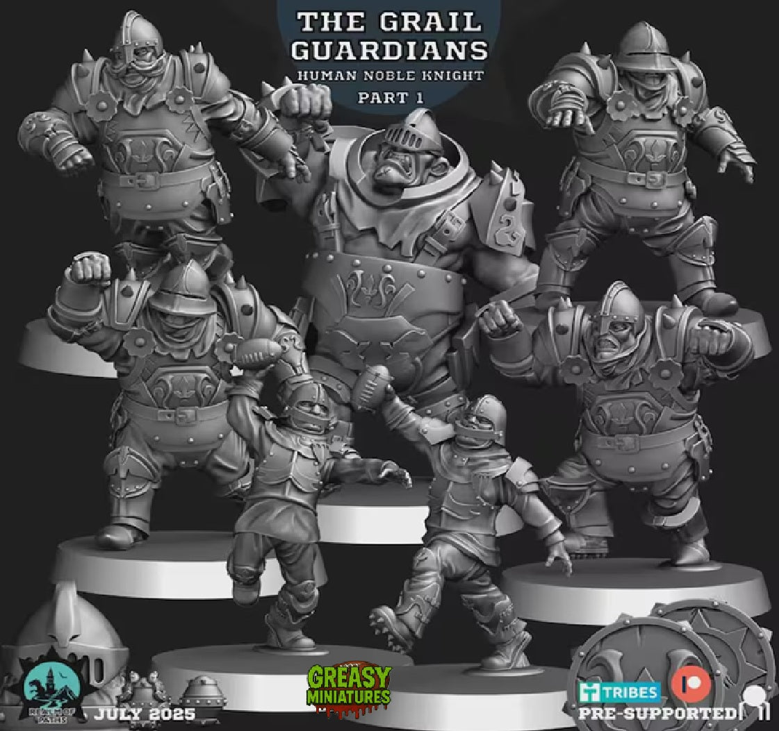Human Noble Knights - Grail Guardians - By Realm Of Paths - Fantasy Football -