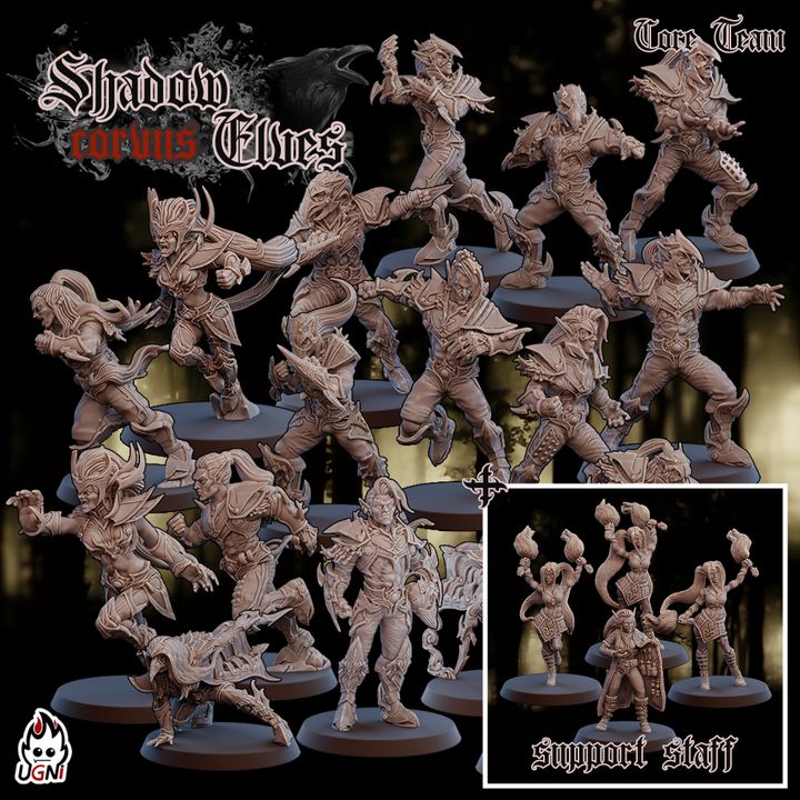 Corvus Team - Dark Elf - Fantasy Football - Ugni Miniatures