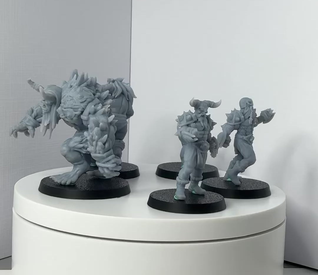 Norsemen Wargaming and Tabletop Team - Brutal Drakkar - Norse - Realm of Paths